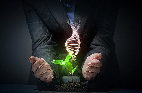 带有DNA的有机科学主题生物学叶子药品生活药物制药生物测试螺旋克隆图片