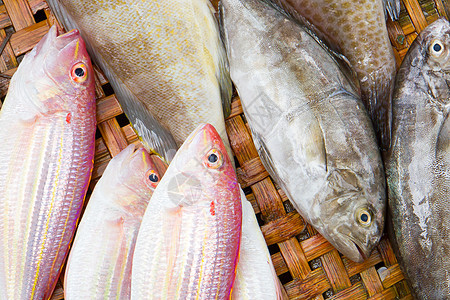 在潮湿的市场里 紧贴着可爱新鲜鲜鱼鲭鱼鲨鱼海鲜鲷鱼美味鲈鱼热带食物饮食零售背景图片