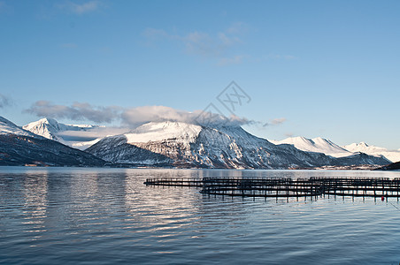 挪威的鲑鱼农场图片