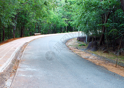 绿色曲线两边都有树木的弯曲道路车道农村季节街道旅行小路缠绕旅游森林运输背景