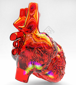 人造人类心脏模型组织跑步机静脉保健药品身体脉冲病人肌肉插图图片