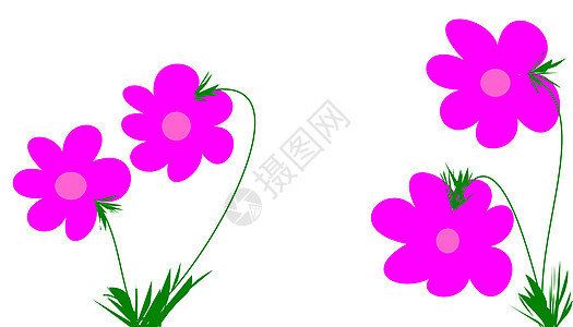 粉红花花明信片装饰粉色植物插图风格背景图片