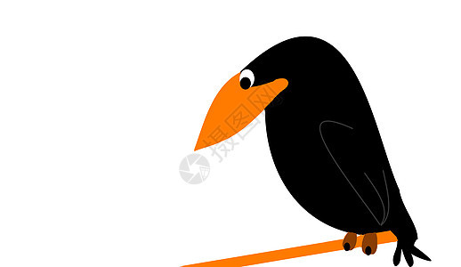 鸟绘画动物插图背景图片