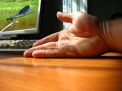 接近计算机的人的手部图片