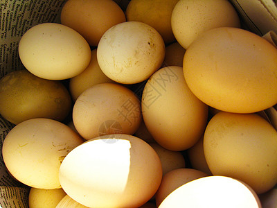 很多鸡蛋的鸡蛋销售房子风景公鸡白色市场饮食橱窗广告干草图片