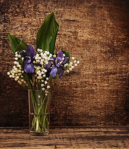 河谷的百合丽花束仍存生命季节白色植物蓝色绿色作品花朵花瓣生长礼物图片