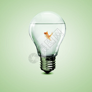 电灯泡里有金鱼商业力量解决方案创造力技术蓝色亮度燃料液体思考图片