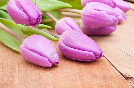 Violet 郁金花木头植物花朵桌子花束乡村紫色花瓣阳光粉色图片