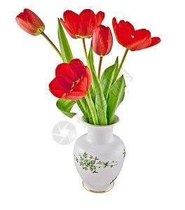 红色郁金香绿色生活花瓣植物花瓶白色叶子花束礼物图片