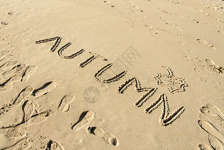 手写文字和用沙子绘制的叶子假期支撑太阳热带海滩语言阳光海岸海洋写作图片