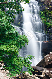 美丽的瀑布和绿木林森林光束环境叶子射线农村公园国家石头风景图片