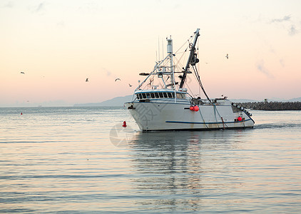 渔船进入文图拉港黎明旅游蓝色天空海景反射支撑地平线海岸日出港口图片