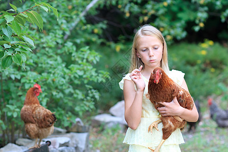 花园中的金发女孩和小鸡女性晴天裙子太阳农场童年快乐家禽孩子母鸡图片