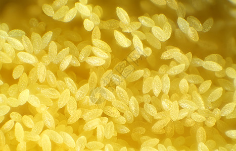 显微镜中Hosta花朵之交玉簪医疗细胞植物生物学照片宏观药品皮肤微生物学图片