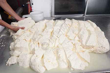 处理新鲜奶酪的工人车间植物桌子牛奶制造业水平生产工作工业食物图片