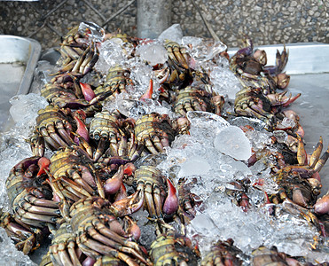 市场上的螃蟹壳类餐厅美食用餐贝类动物食物教育海鲜购物图片