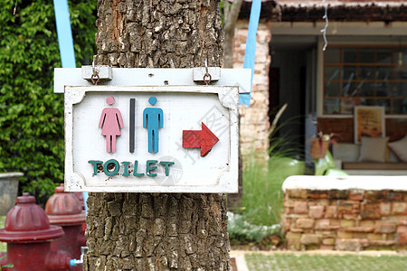 树上的厕所标志女士植物男人木板叶子洗手间卫生间木头浴室男性图片