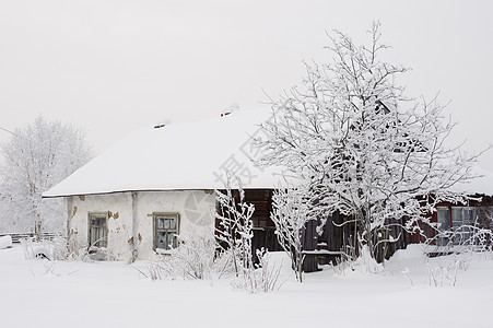 旧房子首脑季节高地天气农场天空爬坡森林栅栏降雪图片