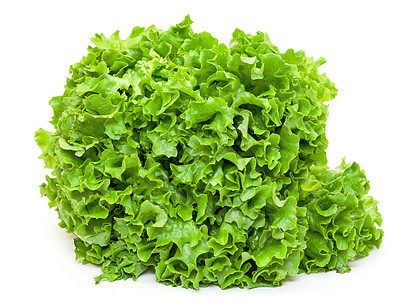 新鲜沙拉生菜收获饮食蔬菜沙拉食物收成活力白色营养农业图片