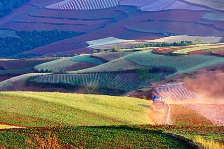 中国农村地貌农业旅行布雷风景尘土农作物红色山坡货车灰尘图片