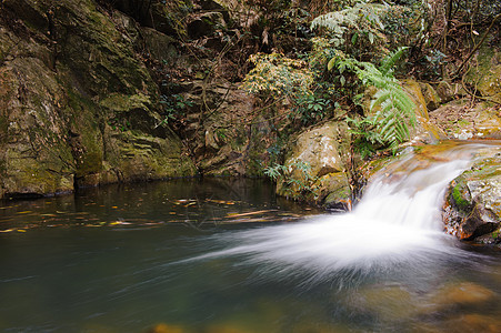 山区流溪流风景美丽丛林石头岩石森林山脉树木瀑布图片