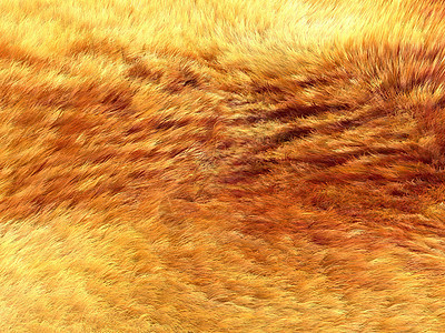 Fox fur 黄色和棕色图案或背景背景图片