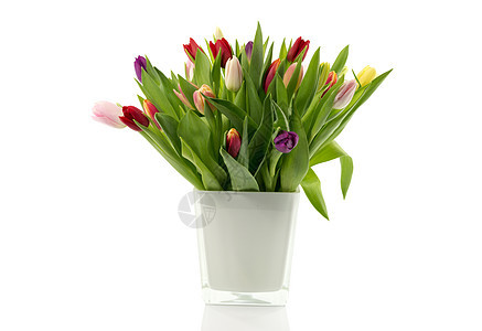 白色花瓶中的郁金香花束绿色红色黄色粉色玻璃植物图片