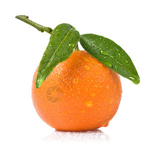 长着绿叶和水滴的延绳子树叶叶子热带食物果汁橙子宏观液体反射水果图片