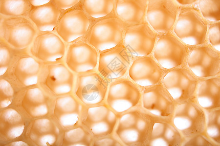 蜂蜜纹理昆虫蜂蜡动物群养蜂业工作食物殖民地蜂窝飞行宏观图片