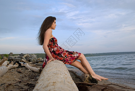 美丽的女孩坐在海边的树上深色蓝色天空裙子黑发微风荒野红色光束日志图片