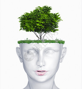 带有树木头的头叶子心理学插图草地创新植物记忆教育智慧眼睛图片