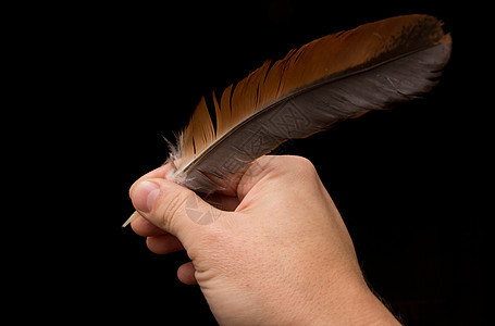 黑背景与羽毛隔绝的手写图片