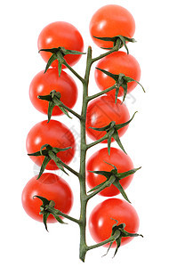 樱桃番茄团体食物饮食植物红色藤蔓西红柿市场沙拉白色图片