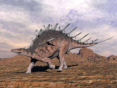 沙漠中剑龙恐龙3D转化历史性科学脊椎动物历史环境灭绝爬虫金子妈妈插图图片