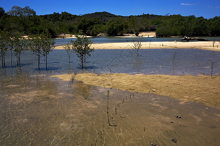 高鼻子和马莫科山及海岸线图片