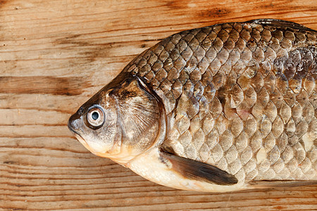 Crucian 骨动物食物鲤鱼钓鱼尾巴眼睛美食灰色图片