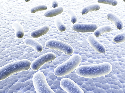 细菌殖民地生物学生物病原微生物药品感染保健宏观细胞兽医图片