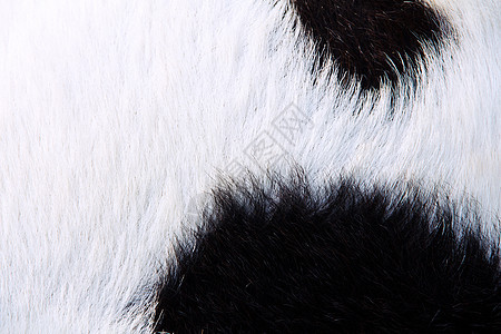 羊羊羊毛背景棕色动物白色农场头发绒毛材料皮革皮肤小地毯图片