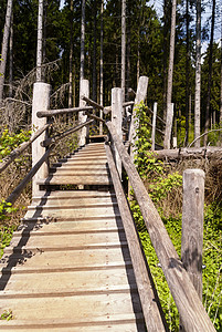 登山旅行小道Eifelsteig上踪迹破坏木桥远足足迹木头飓风牧歌树木森林图片