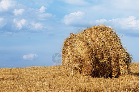 战地风云战地的黑沙堆土地农场国家季节收获植物金子食物谷物蓝色背景