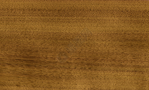 木头 坚果木镶板单板家具装饰木材镶嵌装潢控制板装饰品植物图片