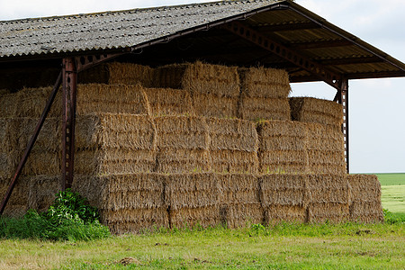 屋顶下面的草叶小屋小麦干草金子旅游垃圾收成村庄场地农家图片