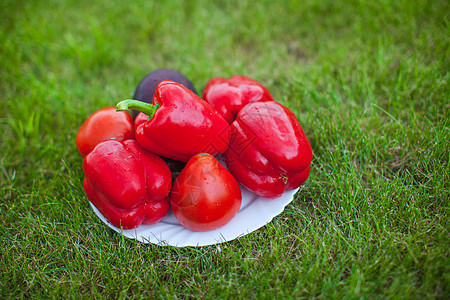 绿色草地上有红胡椒的白色白板营养饮食健康蔬菜平衡重量损失减肥糖尿病盘子图片