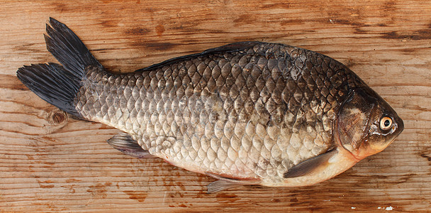 Crucian 骨尾巴鲤鱼钓鱼灰色眼睛美食动物食物图片