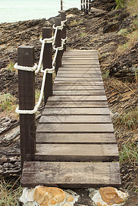 木制步行到海边沼泽石头人群生活森林棕榈木头线条木板楼梯图片