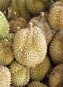 达里安 水果之王营养气候异国文化美食市场热带食物植物饮食图片