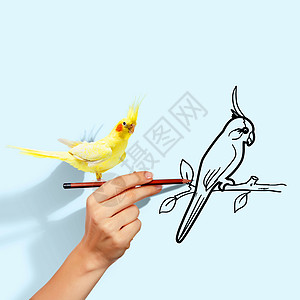 鹦鹉画坐在手边的鹦鹉风格卡通片书法螺旋热带曲线绘画装饰艺术装饰品背景