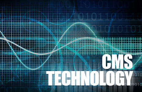 CMS 技术电脑电子邮件营销数据库网站战略软件商业服务服务器图片