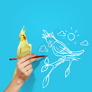 坐在手边的鹦鹉手绘书法艺术墙纸草图装饰风格装饰品螺旋卡通片图片