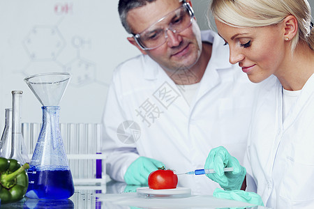 番茄DNA蔬菜实验工程化学实验室科学家植物工人眼镜生物学图片